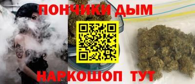 МДПВ Будённовск