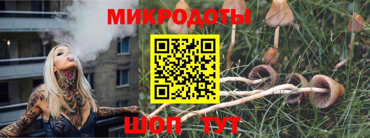 купить закладку  Галлюциногенные грибы мухоморы  Вход с VPN  Псилоцибиновые грибы Magic Shrooms  Щёлково 